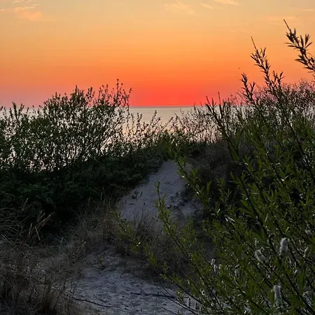 Elija's Sunrise